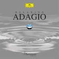 Relaxing Adagio: The Platinum Collection / Various - Relaxing Adagio: The Platinum Collection / Various - Music CD
