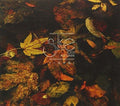 Ske - 1001 Autunni Remastered & Live - Music CD