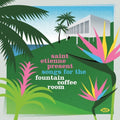 Saint Etienne Present Songs For The Fountain / Var - Saint Etienne Present Songs For The Fountain / Var - Music CD