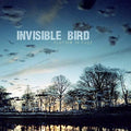 Invisible Bird - Flutter To Fuzz - Music CD