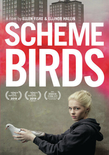 Scheme Birds - Scheme Birds - DVD