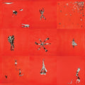 Animal Collective - Hollinndagain - Vinyl Record