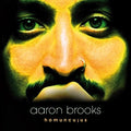 Brooks,aaron - Homunculus - Vinyl Record