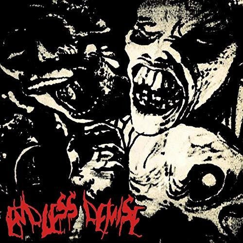 Endless Demise / Podrido - Split - Vinyl Record