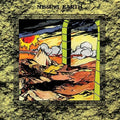 Missing Earth - Gold Flour Salt - Vinyl Record