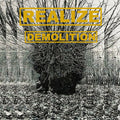 Realize - Demolition - Vinyl Record
