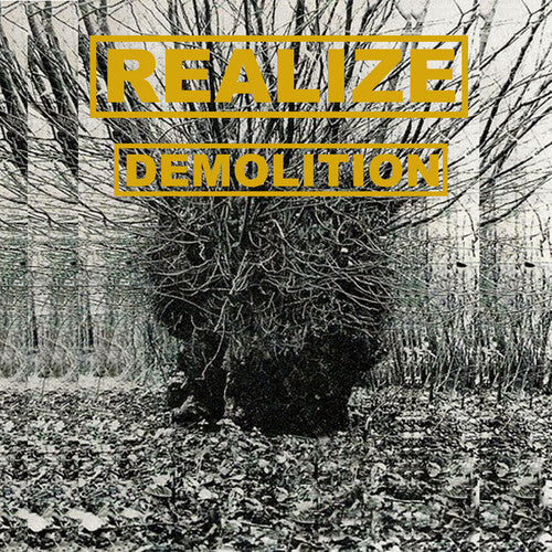 Realize - Demolition - Vinyl Record
