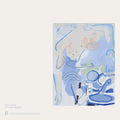 Banhart,devendra - Vast Ovoid - Vinyl Record