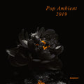 Pop Ambient 2019 / Various - Pop Ambient 2019 / Various - Music CD