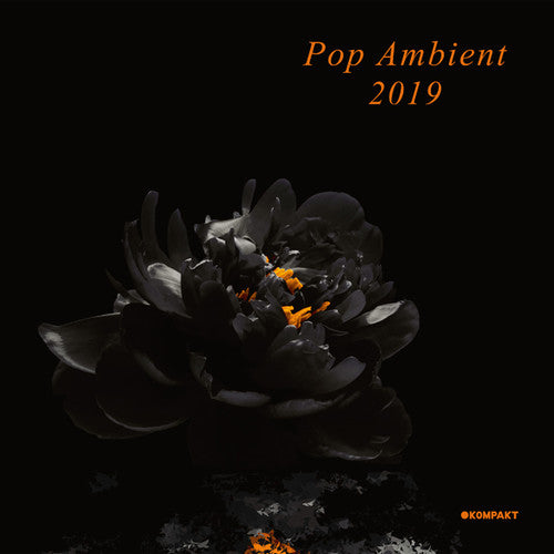 Pop Ambient 2019 / Various - Pop Ambient 2019 / Various - Music CD