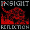 Insight - Reflection - Vinyl Record