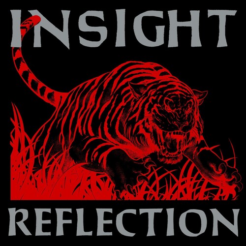 Insight - Reflection - Vinyl Record