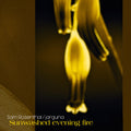 Rosenthal,sam / Jarguna - Sunwashed Evening Fire - Music CD