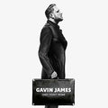 James,gavin - Only Ticket Home - Vinyl Record