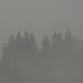 Loderbauer,max - Donnerwetter - Vinyl Record