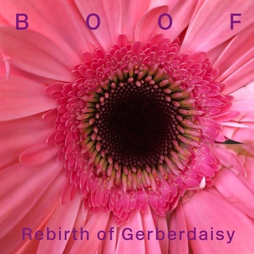 Boof - Rebirth Of Gerberdaisy - Vinyl Record