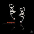 Perelman,ivo / Shipp,matthew - Amalgam - Music CD