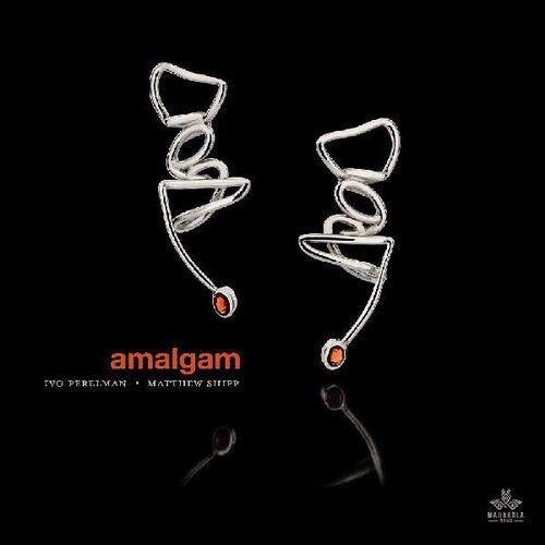 Perelman,ivo / Shipp,matthew - Amalgam - Music CD