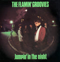 Flamin' Groovies - Jumpin' In The Night - Music CD