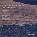 Jorge Villavicencio Grossmann: From Afar / Various - Jorge Villavicencio Grossmann: From Afar / Various - Music CD