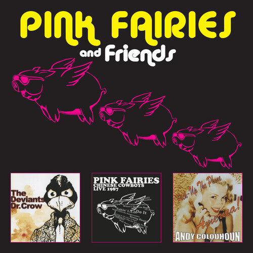 Pink Fairies - Pink Fairies & Friends - Music CD