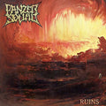 Panzer Squad - Ruins - Vinyl Record