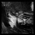 Leonov - Wake - Music CD