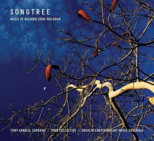 Muldoon / Brown - Songtree - Music CD