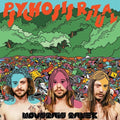 Mountain Tamer - Psychosis Ritual - Vinyl Record