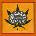 Bjork,brant & The Low Desert Punk Band - Black Power Flower - Music CD