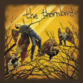 Thornbirds - All The Same - Music CD