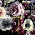 Alpines - Full Bloom - Music CD