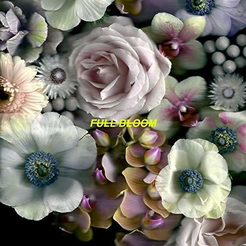 Alpines - Full Bloom - Vinyl Record