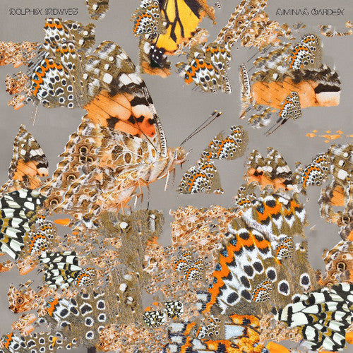 Dolphin Midwives - Liminal Garden - Vinyl Record