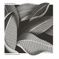 Bednarczyk,tomasz - Illustrations For Those Who - Music CD