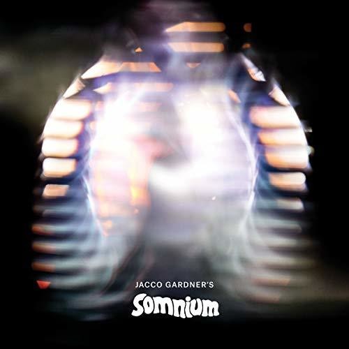 Gardner,jacco - Somnium - Vinyl Record