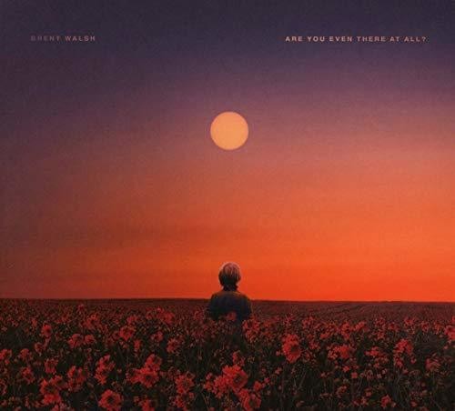 Walsh,brent - Are You Even There At All - Music CD