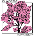 Workin Man Noise Unit - It's Not Nothin - Vinyl Record