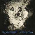 Immaterial Possession - Immaterial Possession - Vinyl Record