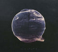 Silent Planet - When The End Began - Music CD