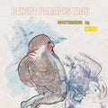 Paradis,benoit Trio - Quintessence Du Cool - Music CD