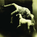 Over The Rhine - Good Dog Bad Dog: The Home Recordings - Vinyl Record