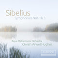 Royal Philharmonic Orchestra / Owain Arwel Hughes - Sibelius: Symphonies Nos. 1 & 3 - Music CD
