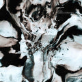 Shcaa / Traian Chereches - Prelude - Vinyl Record