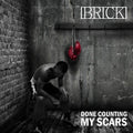 Brick - Done Counting My Scars - Music CD