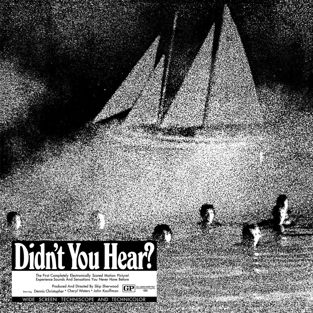 Didn't You Hear? [LP] Vinyl Record