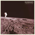 Story,carolina - Dandelion - Music CD
