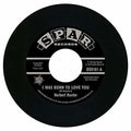 Hunter,herbert - I Was Born To Love You / I Know The Feelin - Vinyl Record