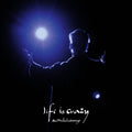Savage,sean Nicholas - Life Is Crazy - Music CD