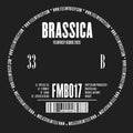 Brassica - Crystal Sea - Vinyl Record